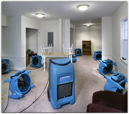 Water Mitigation Services in Newton, MA