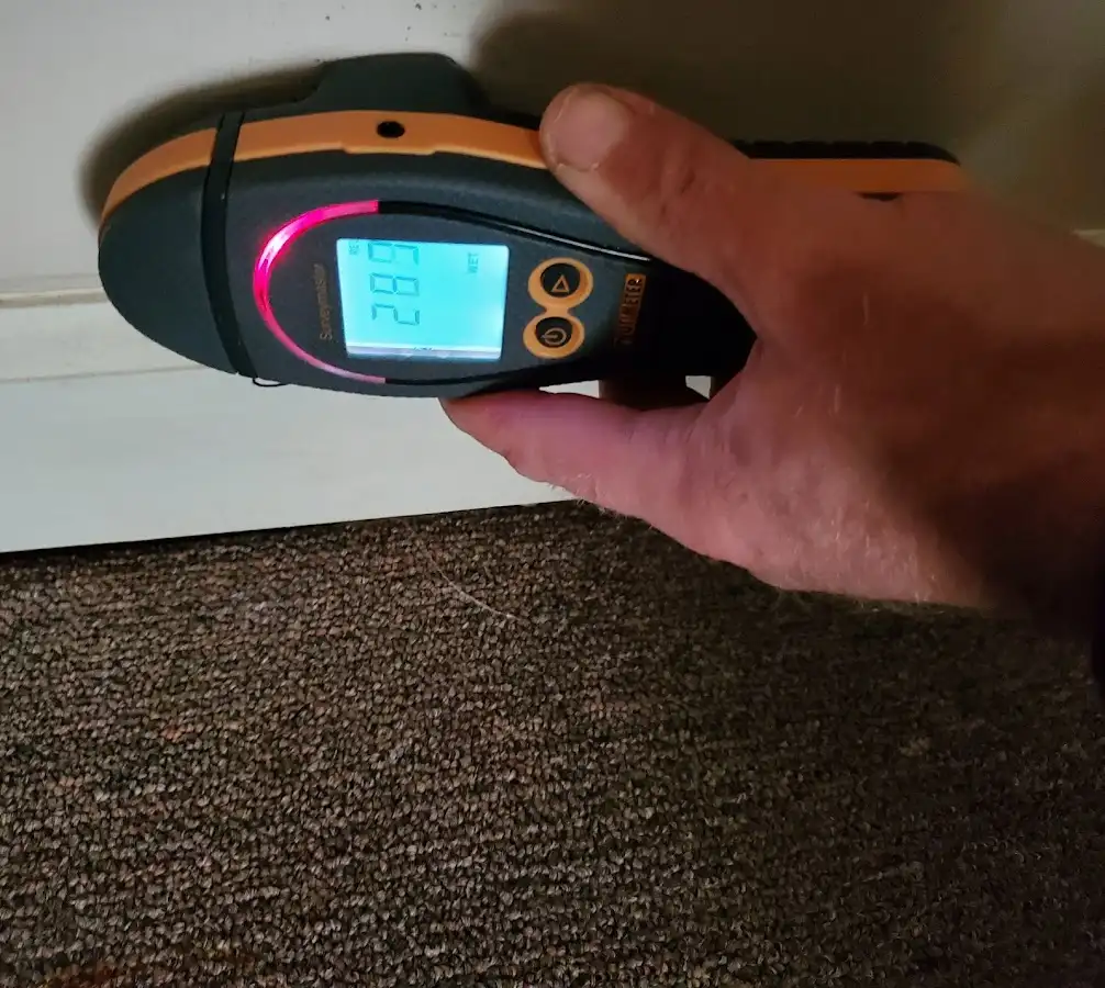 Moisture detection at baseboard during Burst Pipe Cleanup in Newton